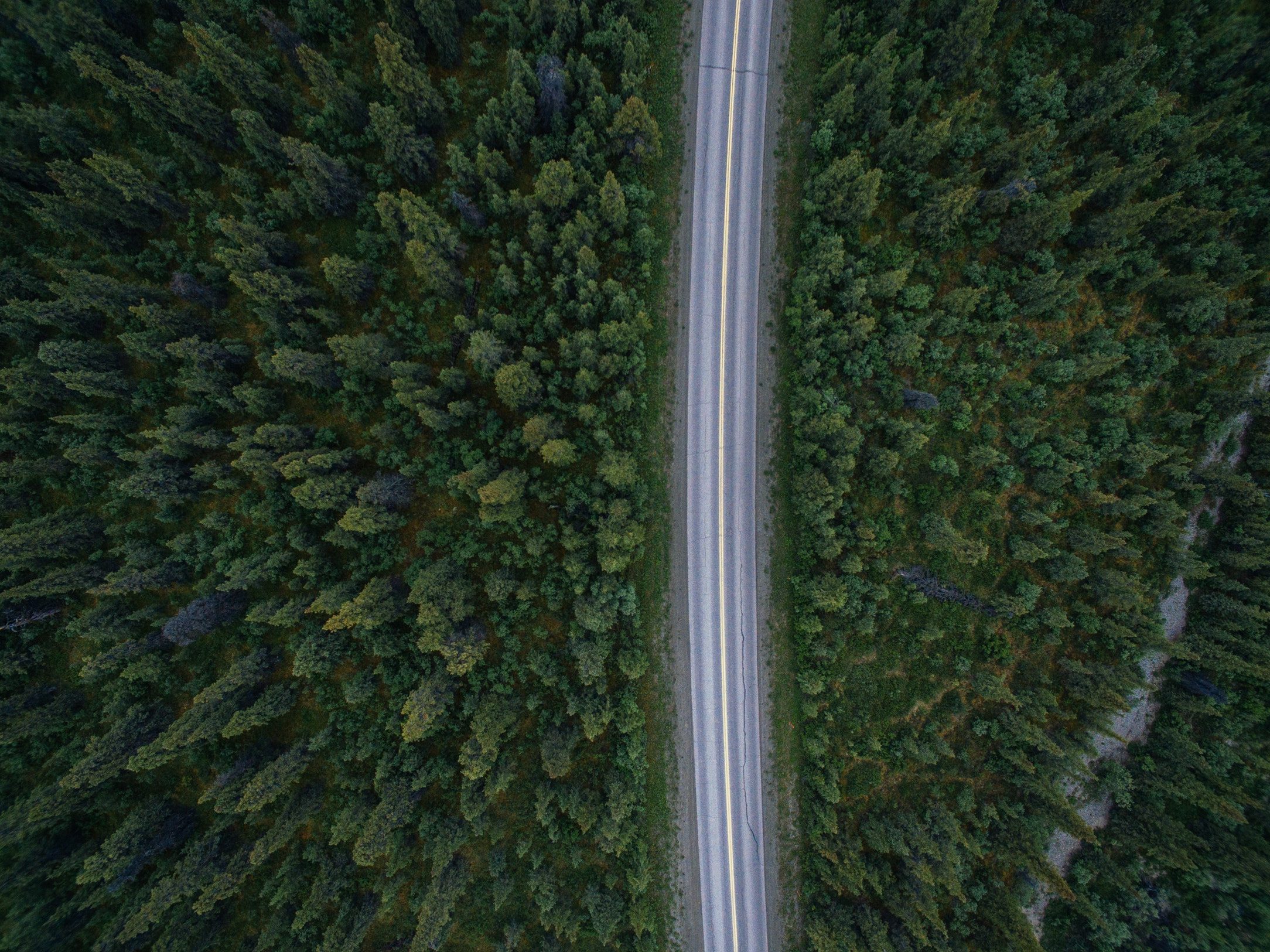 highway, forest, hr job